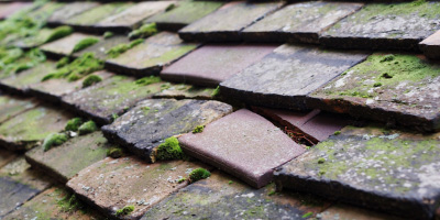 Warsop roof repair costs